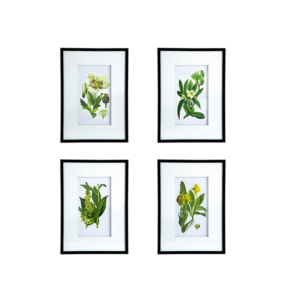 CC Home Furnishings Botanical Flower Framed Wall Arts - 19.75" x 27.5" - Set of 4