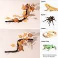thumbnail image 4 of Con 2 Uds. De Ramas De Reptiles Con Ventosas, Ramas Trepadoras De Plástico Realistas Para Decoración De Terrario, 4 of 7