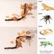 thumbnail image 4 of Ramas 2 Piezas De Ramas De Reptiles Con Ventosas, Ramas Trepadoras De Reptiles De Plástico Realistas Para Decoración De Terrarios, 4 of 7