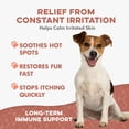 thumbnail image 5 of Dog Mange Supplement - Natural Mites Solution - Helps with Dog Skin Irritation, Hot Spots, and Dandruff, 5 of 15