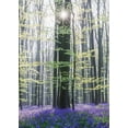 thumbnail image 2 of Muqa, Burim 18x24 White Modern Wood Framed Museum Art Print Titled - Sun Between Trees, 2 of 4