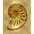 thumbnail image 2 of Miller, Melonie 20x23 White Modern Wood Framed Museum Art Print Titled - Sea Life - Gold III, 2 of 4