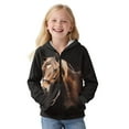 thumbnail image 4 of Chririnla Classic Horse Fuzzy Hooded Sweatshirt for Boys and Girls - Lightweight Comfy Casual Pullover with Pockets for Fall and Winter Outdoor Wear, 4 of 7
