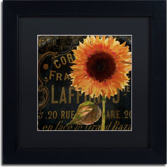 Trademark Fine Art "Sunflower Salon II" Canvas Art by Color Bakery, Black Matte, Black Frame