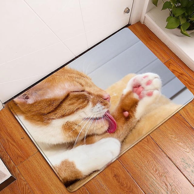 Cute pets Animal Pattern Anti Slip Suede Carpet Door Mat Outdoor Kitchen Living Room Floor Mat Carpet Home Decoration-week