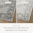thumbnail image 4 of Loloi Monroe Charcoal / Multi 6'-7" x 9'-3" Area Rug, 4 of 8