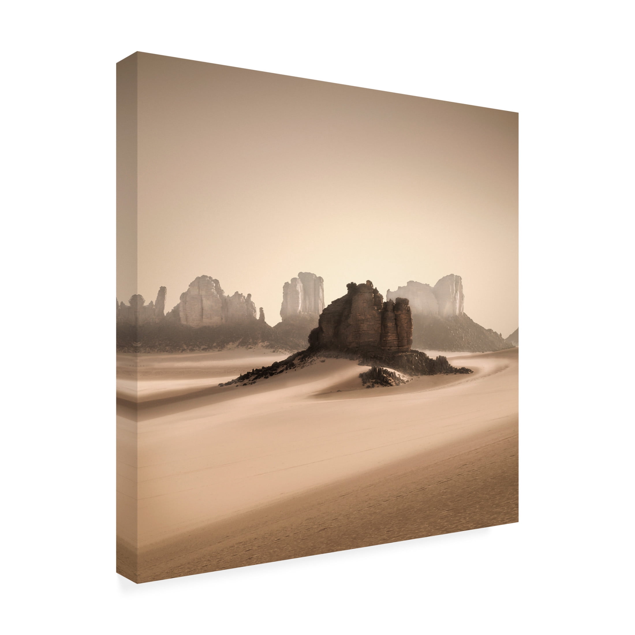 Trademark Fine Art Jean Luc BILLET  Erg Admer Canvas Wall Art
