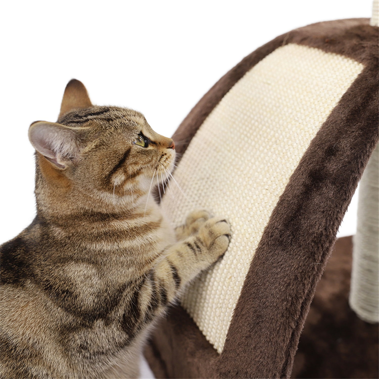 Pefilos 25" Cat Scratching Post, Sisal Rope Scratcher Tree with Hammock and Dangling Ball, Multi-level Cat Tree for Kittens and Adult Cats, Blue Pefilos 25" Cat Scratching Post, Sisal Rope Scratcher Tree with Hammock and Dangling Ball, Multi-level Cat Tree for Kittens and Adult Cats, Blue