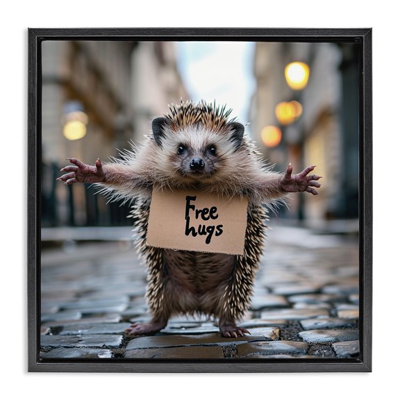 Stupell Industries Eclectic Free Hugs Hedgehog Black Floating Frame Canvas Art, 18 x 18, by RB