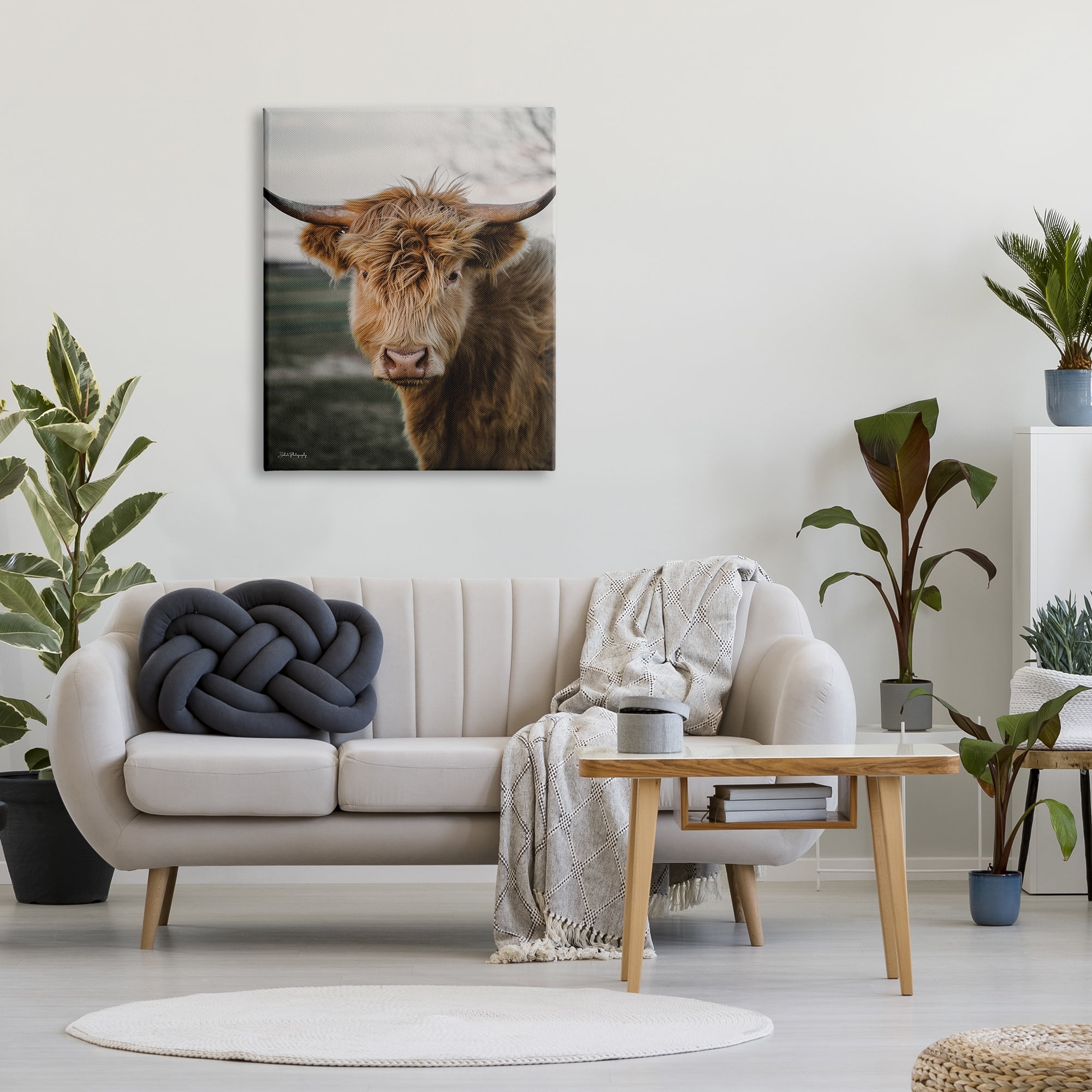 Stupell Industries Highland Cow Photography Animals & Insects Photography Gallery Wrapped Canvas Print Wall Art, 30 x 40