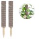 thumbnail image 2 of Moss Stick, 2 Pieces 40 Cm Monstera Climbing Aid, Extendable Natural Planting Stick Coconut Stick, Plant Support For Climbing Aid Indoor Plants House, 2 of 5