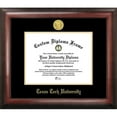 thumbnail image 1 of Texas Tech University Gold Embossed Diploma Frame, 1 of 4