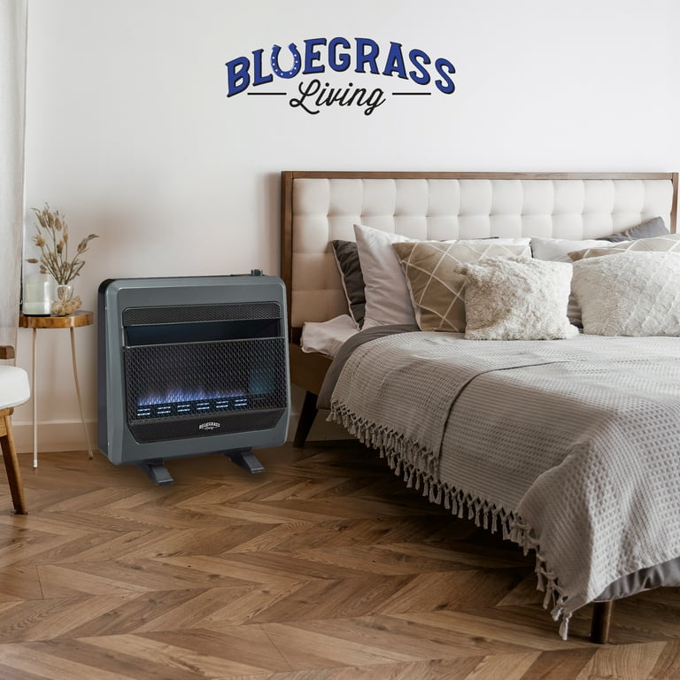 Blue Flame Bedroom Gas Heater Space Heater Vent Free Blue Flame