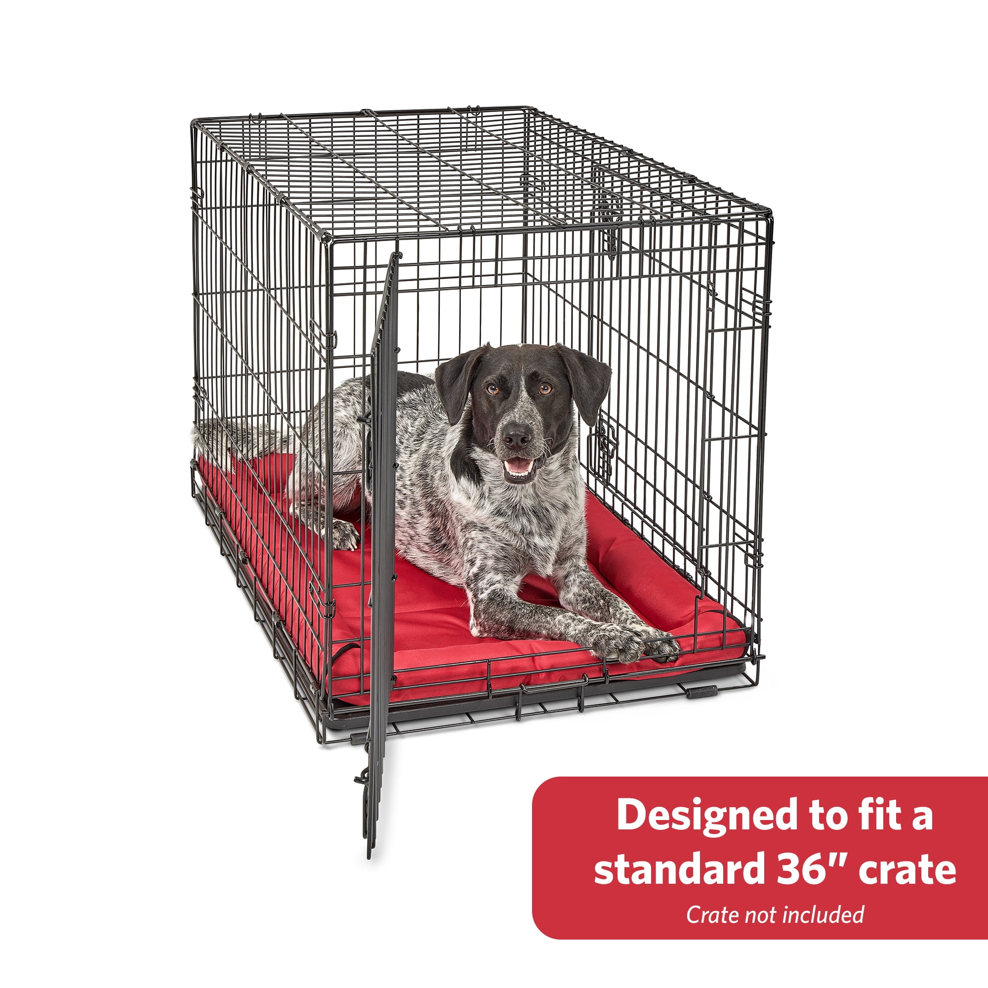 MidWest Homes for Pets Maxx Dog Bed Designed to Fit a 36-Inch Dog Crate, 36-inch, Red