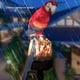 thumbnail image 3 of Monstrate Resina PP Solar Garden Light Simulación decorativa IP65 Impermeable alimentada Cute Outdoor Lawn Park Yard Ground Lamp Iluminación y accesorios Azul Monstrate HA073093-01, 3 of 6