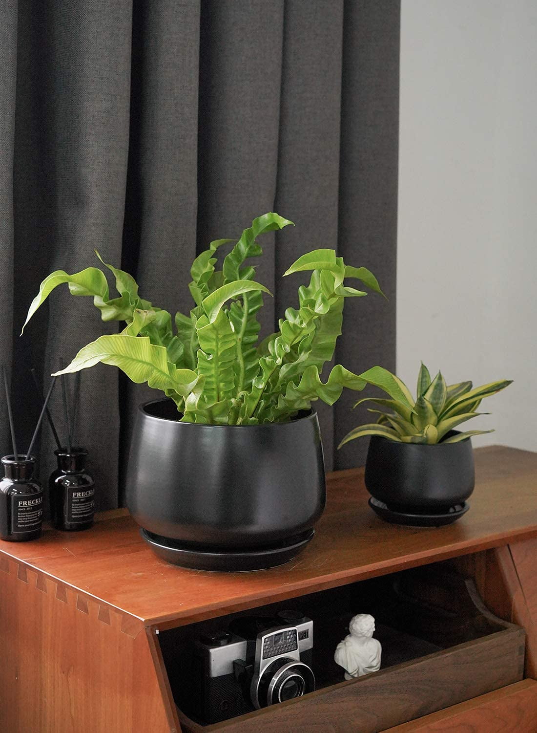 BEMAY Set of 3 Ceramic Plant Pots with Drainage Holes and Saucers, Indoor & Outdoor Decorative Planters, Modern Greenery