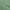 Forest Green, variant on oneOone Polyester Lycra Black Fabric Block Sewing Craft Projects Fabric Prints By Yard 56 Inch Wide