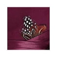 thumbnail image 3 of Kenny K  Dressy Faux Felt Fedora with Feather (Men), 3 of 4
