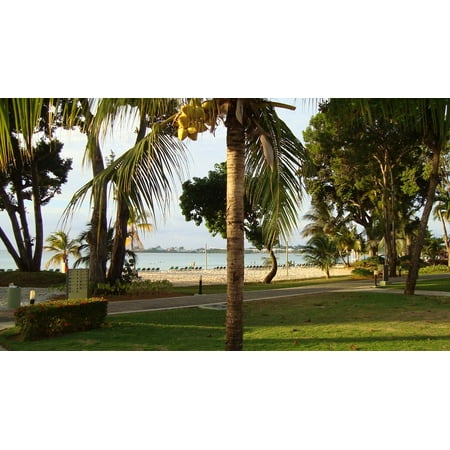 Canvas Print Caribbean Palm Resort Tropical Stretched Canvas 10 x