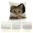 thumbnail image 4 of Shiartex  Super Soft Short Plush Square Decorative Throw Pillow Case Sofa Waist Cushion Cover Multi-Size, 4 of 5