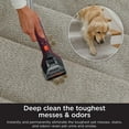 Shark CarpetXpert Deep Clean Essential Formula for Shark CarpetXpert