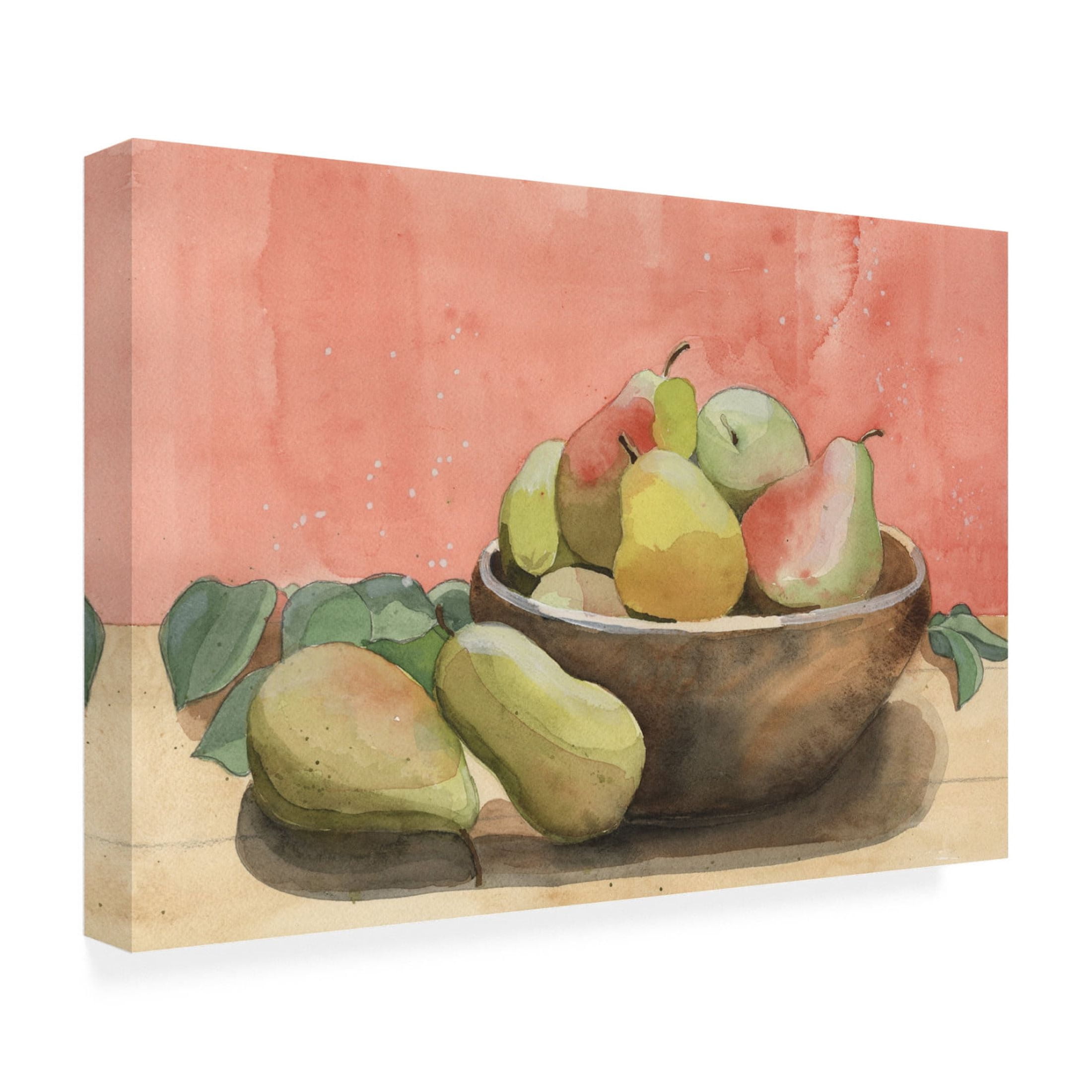 Trademark Fine Art Alicia Longley Summer Harvest Bowl II Canvas Wall Art