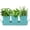 Aqua Mist Blue, variant on Plexon Herb Planter Indoor Garden Set of 3 with Tray, Metal Herb Pots for Indoor Plants, Round Kitchen Garden Kit Ideal for Windowsill Planter or Countertop, Off-White Powder Coated