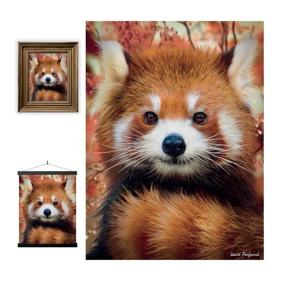 Deluxebase 3D LiveLife Lenticular Wall Art – Baby Red Panda – Unframed 3D Jungle Poster