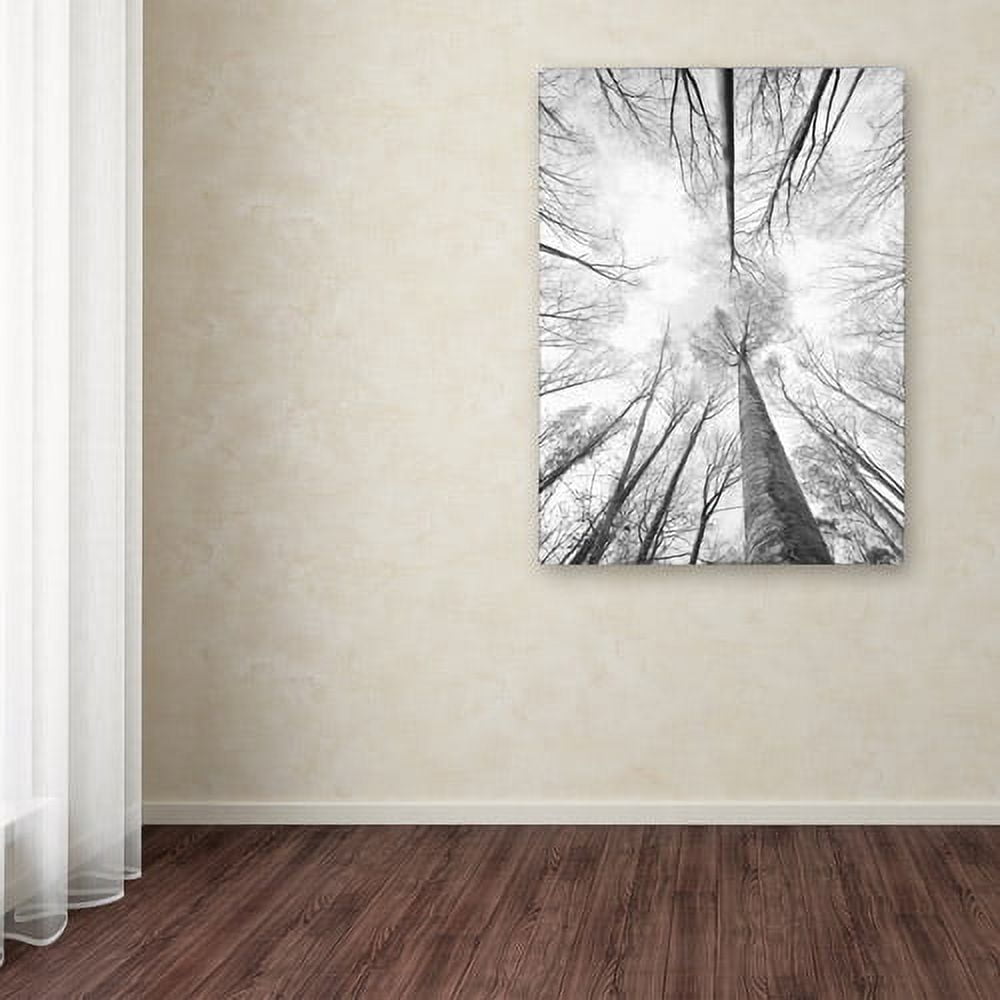 Trademark Fine Art "Recall the Days" Canvas Art by Philippe Sainte-Laudy
