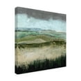 thumbnail image 2 of Trademark Fine Art 'UA CH Crystal Moorland I' Canvas Art by Grace Popp, 2 of 4