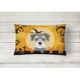 thumbnail image 2 of Carolines Treasures BB1764PW1216 Halloween Schnauzer Canvas Fabric Decorative Pillow, 12H x16W, multicolor, 2 of 3