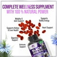 thumbnail image 6 of Black Seed Oil Capsules 1000mg with Thymoquinone - Pure Nigella Sativa for Skin Health & Immune Support, 100% Blackseed Oil, Amazing Extraction Above Cold Pressed Black Cumin Seed - 60 Softgels, 6 of 9