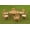 Brown 2, variant on Grade-A Teak Dining Set: 3 Seater 4 Pc: 60" Round Table And 3 Mas Stacking Arm Chairs Outdoor Patio WholesaleTeak #WMDSMSy
