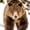 Walking Grizzly Bear, variant on Elephant Stock Pit Bull On Snow Wall Art - Vertical Multi Panel Canvas - Living Room Wall Decor - Animal Multi Panel - Gray And Brown Decor - 14" x 23"