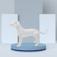 thumbnail image 5 of UEETEK Inflatable Dog Clothing Model White PVC Display Stand for Decor, 5 of 8