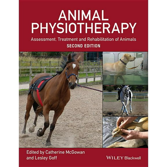 Animal Physiotherapy: Assessment, Treatment and Rehabilitation of Animals, (Paperback)