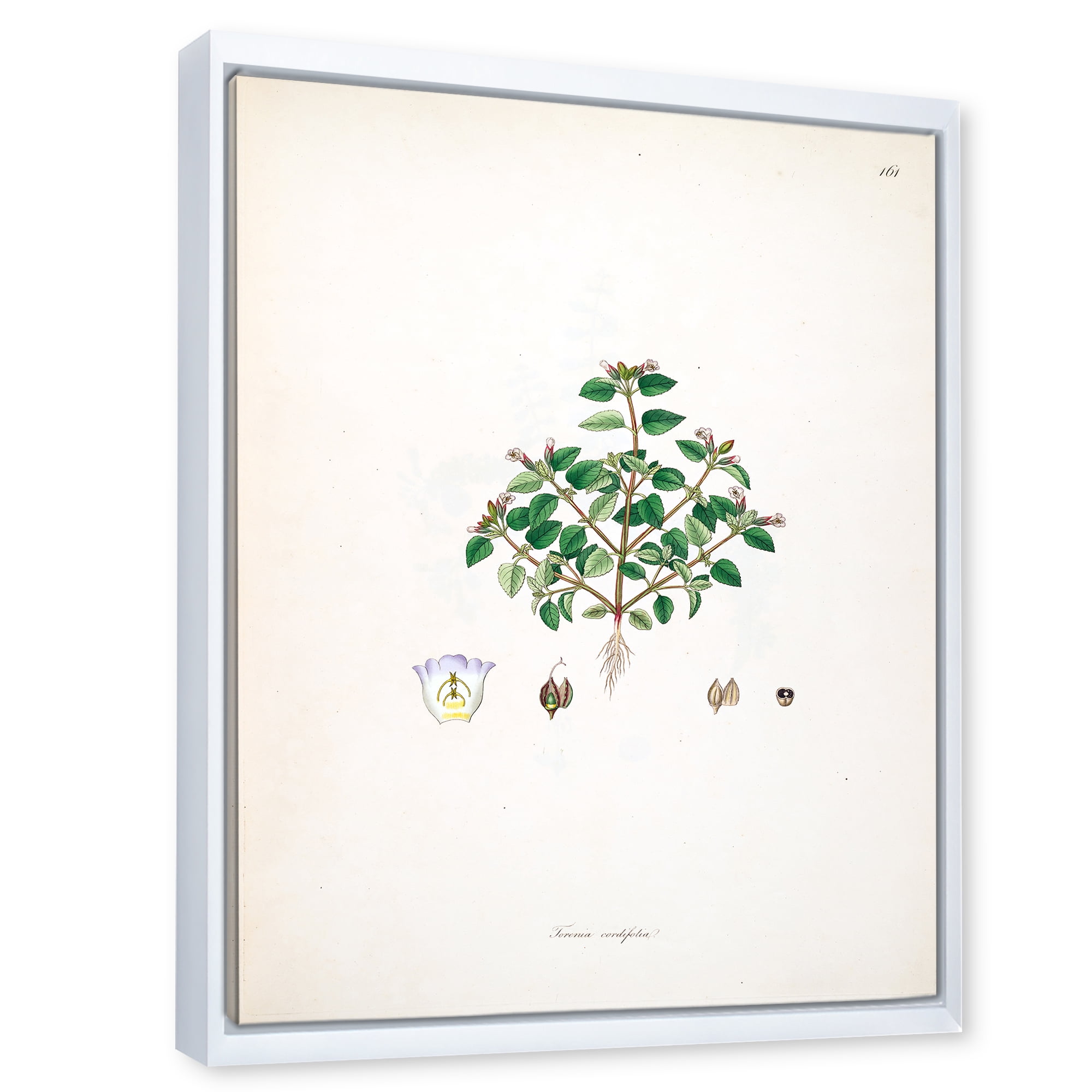 Designart 'Ancient Plant Life XIII' Farmhouse Framed Canvas Wall Art Print