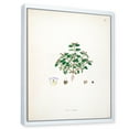 thumbnail image 3 of Designart 'Ancient Plant Life XIII' Farmhouse Framed Canvas Wall Art Print, 3 of 5