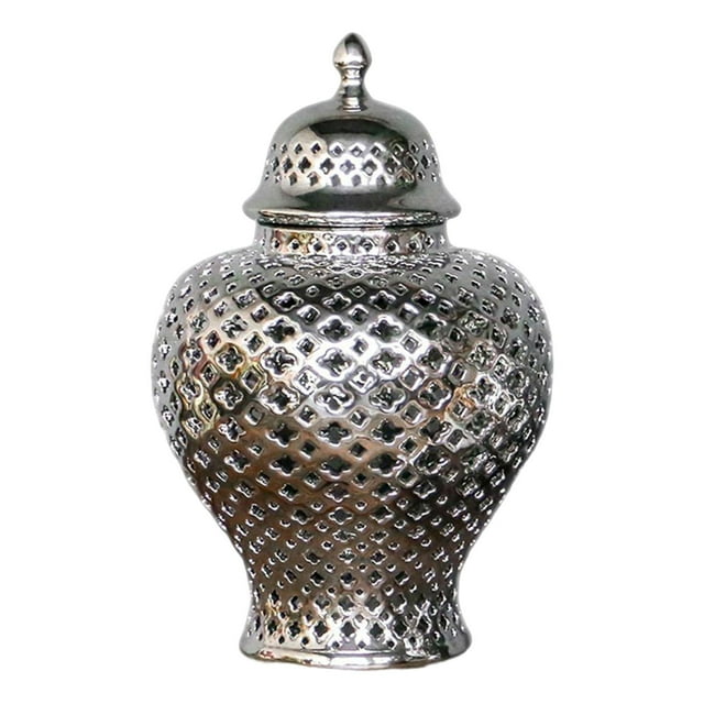 GROWTH TANK Decorative Ceramic Ginger Jar with Lid Porcelain Jar Handicraft Vase for Flowers