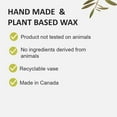 thumbnail image 3 of Fruits & Passion Cucina Perfumed Plant Based Wax Candle 7.7 Ounces - 2 Pack, 3 of 6