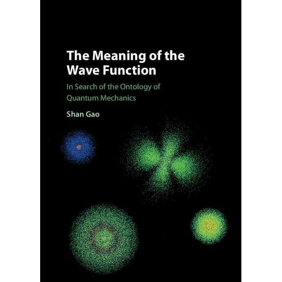 The Meaning of the Wave Function, (Hardcover)