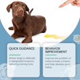 thumbnail image 4 of Dog Toilet Training Spray, Puppy Toilet Training Spray, Corrects Your Dog's Bad Bowel Behavior And Helps You Train Your Dog To The Toilet,50ML, 4 of 5