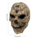 thumbnail image 2 of Horror Cara Cubierta Esqueleto Látex Tocado Accesorios Cosplay Disfraz De Fiesta De Halloween Moyic HA036945-00, 2 of 6