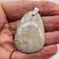 thumbnail image 2 of Coral Fossilized with Tiny Critters Sterling Silver Pendant | 2 1/4" Long |, 2 of 9