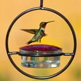 thumbnail image 3 of jesticaly 3pcs Hummingbird Diet Feeding Device Circular Platform For Hummingbirds To Rest red, 3 of 6
