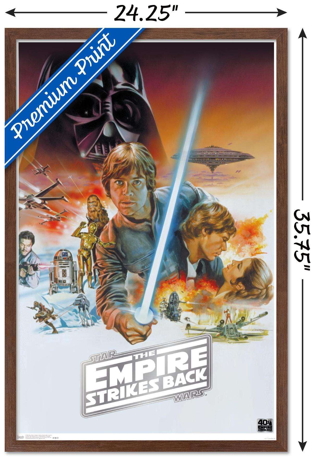 Star Wars: The Empire Strikes Back 40th - Scenic Wall Poster, 22.375" x 34", Framed