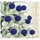 thumbnail image 4 of Fiudx Bolas Navideñas de Terciopelo, Adornos Flocados para Árbol, Fáciles de Colgar, Elegante Decoración Invernal, Versátiles para El Hogar, Juego de 20 Piezas, Tamaño de 2,4 Pulgadas, Ideales para F, 4 of 7