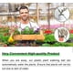 thumbnail image 3 of 12 Pack Small Synthetic Glass Watering Globes For Indoor Plants - Bulbs Drip Irrigation 2" Diameter - Pvc Self Watering Equipment For Plants Hy, 3 of 4