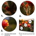 thumbnail image 3 of Designart "Red Green Cactus landscape With Sunset I" Floral Floater Framed Wall Decor, 3 of 7