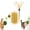 Beige, variant on 3 in 1 Cat Self Groomer Brush, Cactus Style Wall Corner Massage Comb Scratcher with Feather Toys & Catnip Ball for Indoor Cats, Cat Face Scratchers